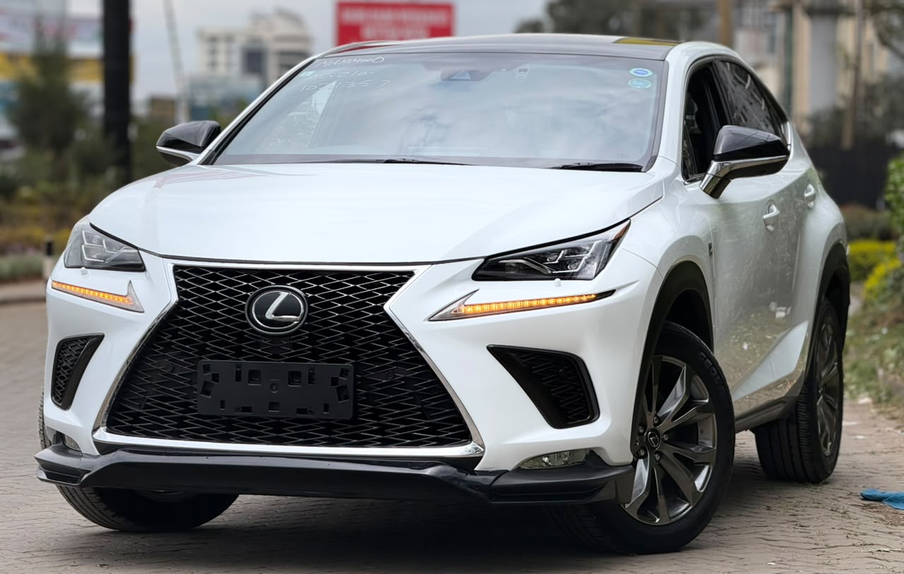 2019 Lexus NX300 F SPORT